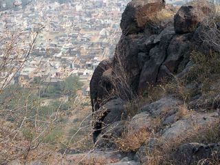 കോട്ടകള്‍ കൊണ്ട് കെട്ടിപടുത്ത ഹരിയാന.. അറിയാം ഹരിയാനയിലെ വിസ്മയ കോട്ടകള്‍