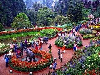 122 വർഷമായി നടക്കുന്ന ഊട്ടി പുഷ്പോത്സവത്തിൻറെ വിശേഷങ്ങൾ!!