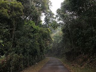 തമിഴ്നാട്ടിലെ കാടുകളെ അറിയാം..