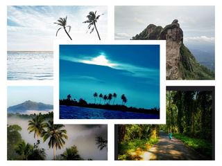 ഫോട്ടോയെടുക്കാനാണോ ഈ യാത്ര...എങ്കിൽ വണ്ടി തിരിച്ചോളൂ..