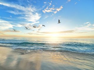 ഗോപാൽപൂർ കടൽ തീരവും അവിടുത്തെ അവിസ്മരണീയമായ കാഴ്ചകളും