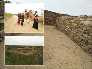 ധോളാവീരയുടെ തിരുശേഷിപ്പുകൾ തേടിയ യാത്ര