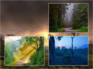 മസിനഗുഡി..ഭീകരനാണിവൻ..കൊടുഭീകരൻ