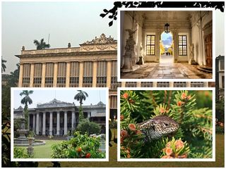 മാര്‍ബിൾ കൊട്ടാരത്തിനുള്ളിലെ മൃഗശാല...കൊൽക്കത്തയിലെ വിചിത്രമായ കൊട്ടാരത്തിന്റെ കഥ