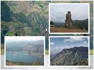 ഇടുക്കിയിൽ മുൻപേ കുതിക്കുന്ന നെടുങ്കണ്ടം