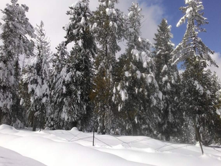 ഭൂമിയിലെ സ്വർഗ്ഗത്തിലെ വെടിയൊച്ചകൾ നിലയ്ക്കാത്ത ഷോപ്പിയാൻ!