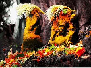 നാഗരാജാവ് വാഴുന്ന മണ്ണാറശ്ശാല മുതൽ വാസുകി പ്രത്യക്ഷപ്പെട്ട പാമ്പുംമേക്കാട്ട് വരെ...