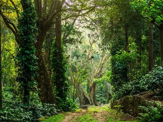 ചെന്നൈയിലെ ട്രക്കിങ്ങ് ഇടങ്ങൾ ഇതാണ്