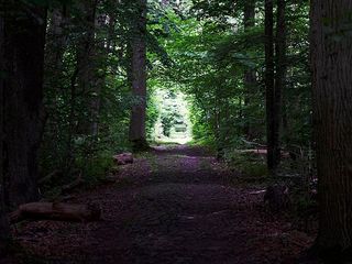 വരയാടിന്‍റെ ഇരവികുളം മുതൽ കടുവകളുടെ പെരിയാർ വരെ...കേരളത്തിലെ ദേശീയോദ്യാനങ്ങളിതാ!