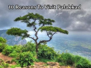 അടുത്ത യാത്ര പാലക്കാട്ടേക്ക് തന്നെ...കാരണങ്ങളിതാ