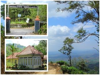 തിരുവനന്തപുരത്തെ ഈ ബ്രിട്ടീഷ് എസ്റ്റേറ്റിനെക്കുറിച്ച് കേട്ടിട്ടുണ്ടോ?