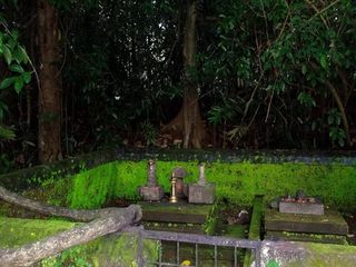 തീർഥത്തിനുള്ളിൽ ശ്രീകോവിലുള്ള ക്ഷേത്രം