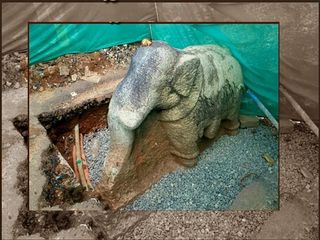 അജ്ഞാതശിൽപിയുടെ കരവിരുതുമായി പത്മതീർത്ഥക്കരയിലെ കല്ലാനശിൽപം