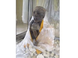 ഹിമാലയത്തിലെ ജീവനുള്ള മമ്മിയെ കാണാനൊരു യാത്ര