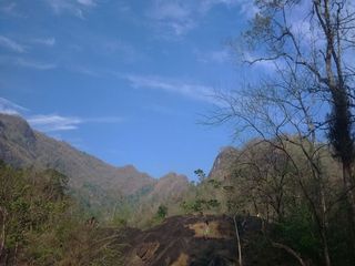 കിളികൊഞ്ചലുകൾ തേടി ചിറകടിയൊച്ചകൾ തേടി പോകാം തട്ടേക്കാട്ടിൽ