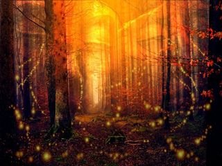 ഫോട്ടോഗ്രാഫറാണോ? നഷ്‌ടമാക്കരുത് ഈ ആഘോഷങ്ങള്‍