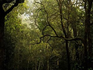 പാലക്കാ‌ട് ‌ടൂറിസം:ആദ്യഘ‌ട്ടത്തില്‍ തുറന്നത് 7 ഇടങ്ങള്‍, പ്രവേശനം ഇങ്ങനെ