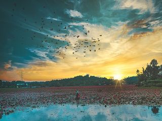 രണ്ട് ഡോസ് വാക്സിനുമെടുത്ത സഞ്ചാരികള്‍ക്കായി ഓണത്തിന് വിനോദ സഞ്ചാരകേന്ദ്രങ്ങള്‍ തുറക്കും