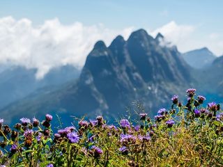 കോടമഞ്ഞില്‍ മൂടി പൊന്മുടി... കാത്തിരിക്കുന്നത് സ്വപ്ന ദൃശ്യങ്ങള്‍.. റെഡിയാവാം കാഴ്ചകളിലേക്ക്