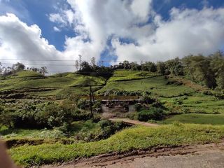 കുട്ടമ്പുഴ-മാമലക്കണ്ടം വഴി ലക്ഷ്മി എസ്റ്റേറ്റിലൂടെ മൂന്നാറിലേക്കൊരു വനയാത്ര!!