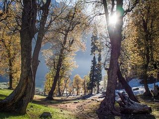 ഡിസംബര്‍ തീരാന്‍ കാത്തുനില്‍ക്കേണ്ട! ബാഗ് പാക്ക് ചെയ്യാം..2021 ലെ യാത്രകളിലേക്ക് ഈ ഇടങ്ങളും