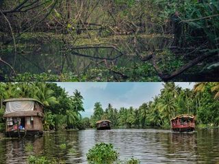 വേമ്പനാട് കായലിനു നടുവിലെ പാതിരാമണലിലേക്ക് പോകാം... ടിക്കറ്റ് 40 രൂപ മാത്രം