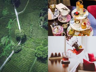 അന്താരാഷ്ട്ര ചായ ദിനം: രുചിതേടിപ്പോകുവാന്‍ ഈ നാടുകള്‍...ജപ്പാന്‍ മുതല്‍ ഡാര്‍ജലിങ് വരെ