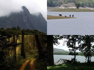 പറമ്പിക്കുളം തുറന്നു...കാ‌ടു കയറിക്കാണുവാന്‍ ‌ട്രക്കിങ് പാക്കേജുകള്‍