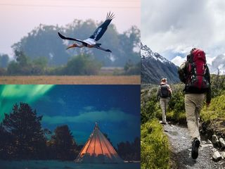 കുമരകം മുതല്‍ നല്‍സരോവര്‍ വരെ...ഇന്ത്യയിലെ ഇക്കോ-ടൂറിസം ഡെസ്റ്റിനേഷനുകളിലൂടെ