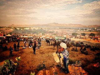 ഒട്ടകങ്ങളിലെ 'സുമുഖ'രെ കാണാം.. പുഷ്കർ മേളയ്ക്ക് തുടക്കമായി.. അപ്പോൾ പോകുവല്ലേ?!