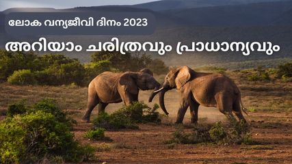 ലോക വന്യജീവി ദിനം 2023: പങ്കാളിത്തത്തോടെ പ്രവർത്തിക്കാം, അറിയാം ചരിത്രവും പ്രാധാന്യവും