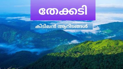 തേക്കടി യാത്ര വെറുതെയല്ല! മനസ്സുനിറയെ കാണാൻ ആറിടങ്ങൾ, വേണ്ടത് ഒരൊറ്റ ദിവസം