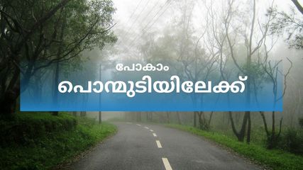 കോടമഞ്ഞും കുളിരും, പോകാം പൊന്മുടിയിലേക്ക്.. ‌തിരിച്ചുവരാനേ തോന്നില്ല!