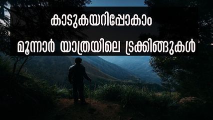 കാടും തേയിലത്തോട്ടങ്ങളും കയറിപ്പോകാം, മൂന്നാർ യാത്രയിൽ പോകണം ഈ ട്രക്കിങ് റൂട്ടുകളിലും
