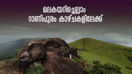 റാണിപുരം ഒരുങ്ങി, കോടമഞ്ഞും നൂൽമഴയും,മിനി ഊട്ടിയിലെ കാടും പുൽമേടും കാണാം