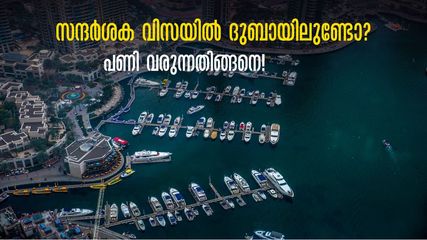 ദുബായിൽ സന്ദര്‍ശക വിസയിലെത്തുന്നവരുടെ ശ്രദ്ധയ്ക്ക്, സമയത്ത് പോയില്ലെങ്കിൽ... ഇനി ഗ്രേസ് പീരിഡില്ല