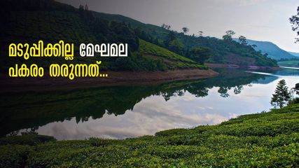 മേഘങ്ങളിറങ്ങുന്ന മേഘമല, 18 വളവുകൾ കയറിച്ചെല്ലുന്നയിടം, കൊടുംകാട്! പക്ഷേ, ഈ കാഴ്ചകൾ..