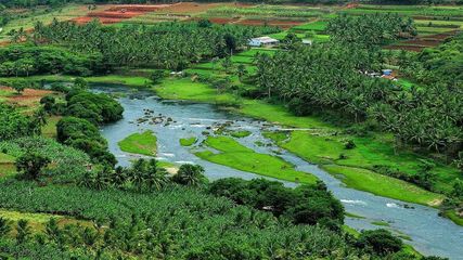 അട്ടപ്പാടിയിലെ ആദിവാസി ഊരുകൾ കാണാം, വൈവിധ്യ കാഴ്ചകളിലേക്ക് കെഎസ്ആർടിസി ബജറ്റ് ടൂറിസം
