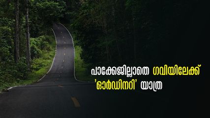 മഞ്ഞും മഴയും കൊണ്ട് പെരിന്തൽമണ്ണയിൽ നിന്ന് ഗവിയിലേക്ക് മൺസൂണ്‍ ട്രിപ്പ്! പോയാലോ