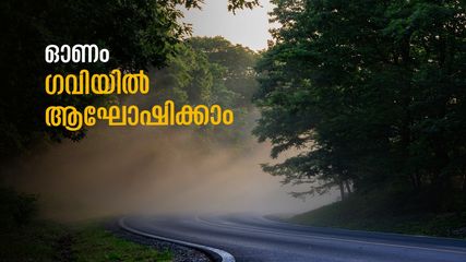 Onam 2033: ഓണം ഗവിയിൽ കളറാക്കാം..കാട്ടിലൂടെയുള്ള ഡ്രൈവും ബോട്ടിങ്ങും! ഈ കാര്യം പക്ഷേ ശ്രദ്ധിക്കണം