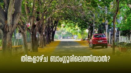 ബെംഗളുരു ബന്ദ്: തിങ്കളാഴ്ച ബാംഗ്ലൂരിലെത്തിയാൽ പണിയാകുമോ? വണ്ടി കിട്ടുമോ? അറിയേണ്ടതെല്ലാം