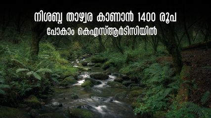 ഫോണും ഇന്‍റർനെറ്റും ഇല്ലാത്ത നാല് മണിക്കൂർ! കെഎസ്ആർടിസി സൈലന്‍റ് വാലി സഫാരി തരുന്ന സന്തോഷങ്ങൾ..