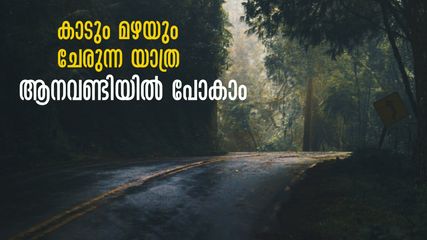 കാട്ടിലൂടെ ബസ് യാത്ര, അണക്കെട്ട്, പിന്നെ ബോട്ടിങും.. പോയാലോ? യാത്ര എറണാകുളത്തു നിന്ന്..വലിയ ചെലവുമില്ലെന്നേ!