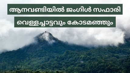 വയനാട് ജംഗിൾ സഫാരിയും പതഞ്ഞൊഴുകുന്ന സൂചിപ്പാറയും മഞ്ഞുവീഴുന്ന 900 കണ്ടിയും.. KSRTCപാക്കേജിതാ