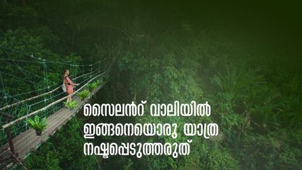 സൈലന്‍റ് വാലിയിലെ ഈ പാക്കേജ് അറിഞ്ഞില്ലേ..കാട് കാണാം, കാട്ടിൽ താമസിക്കാം, കുറഞ്ഞ ചെലവിൽ
