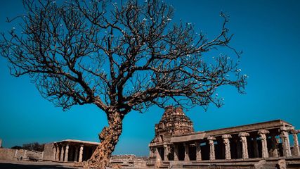 ഹംപി ഉത്സവ് 2024; ഹംപി യാത്രയ്ക്ക് പറ്റിയ സമയം, കാണാം കിടിലൻ ആഘോഷങ്ങൾ