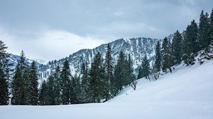 ട്രെക്കിങ് നടത്താം, ക്യാംപ് ചെയ്യാം.. ചെലവ് പകുതി മാത്രം, സംഭവം ഇങ്ങനെ