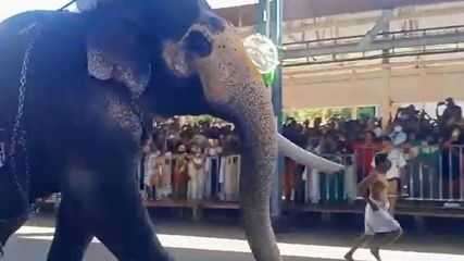 ഗുരുവായൂർ ആനയോട്ടം,കുടമണി കിലുക്കി കണ്ണനു മുന്നില്‍ ഓടിയെത്താം..നൂറ്റാണ്ടുകളായി നടന്നുവരുന്ന ചടങ്ങ്