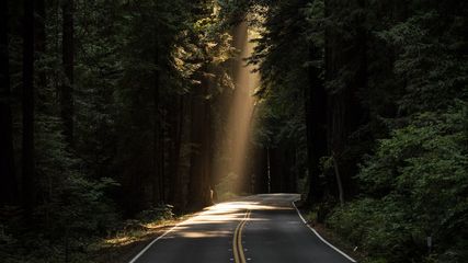 പാലായ്ക്ക് പോകാം, സമയം ഇനിയൊരു പ്രശ്നമല്ല.. പാലാ-ചെറുപുഴ റൂട്ടിൽ പുതിയ ബസ് സർവീസ്