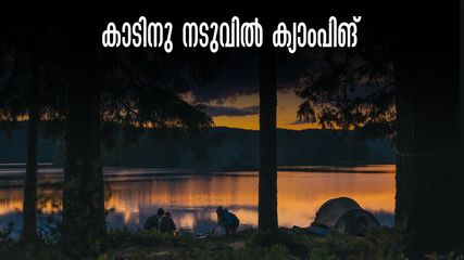 കാട്ടിലെ കുളക്കരയിൽ ക്യാംപിങ്, ഒരു രാത്രി ടെന്‍റിൽ താമസവും.. വ്യായമവും പണിയും മുടക്കേണ്ടി വരില്ല